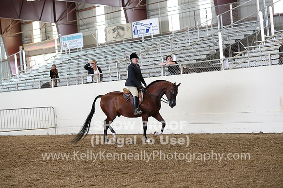 AHANC19_ThursPM_0858