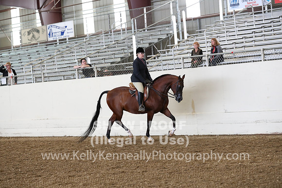 AHANC19_ThursPM_0859