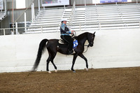 AHANC19_ThursPM_0909