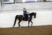 AHANC19_ThursPM_0910