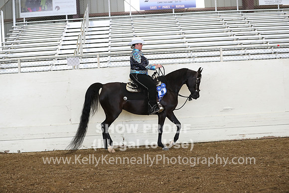 AHANC19_ThursPM_0910