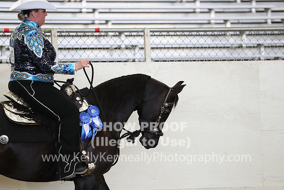 AHANC19_ThursPM_0911