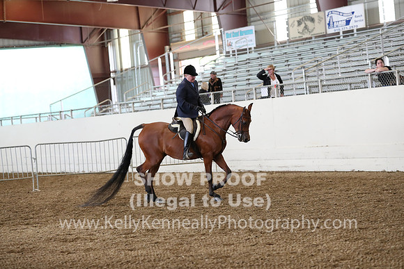 AHANC19_ThursPM_0862