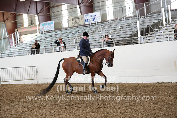 AHANC19_ThursPM_0863