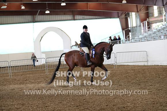 AHANC19_ThursPM_0880