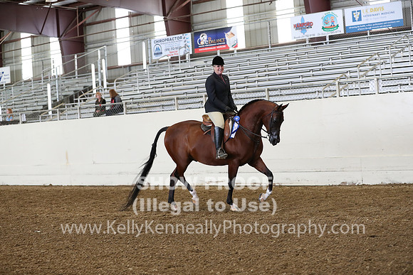 AHANC19_ThursPM_0883