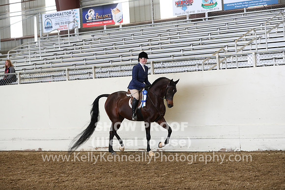 AHANC19_ThursPM_0892