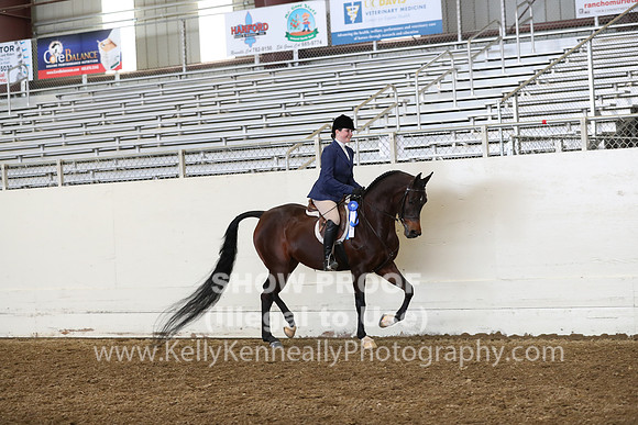 AHANC19_ThursPM_0893