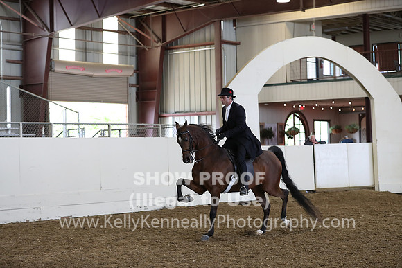 AHANC19_ThursPM_0915