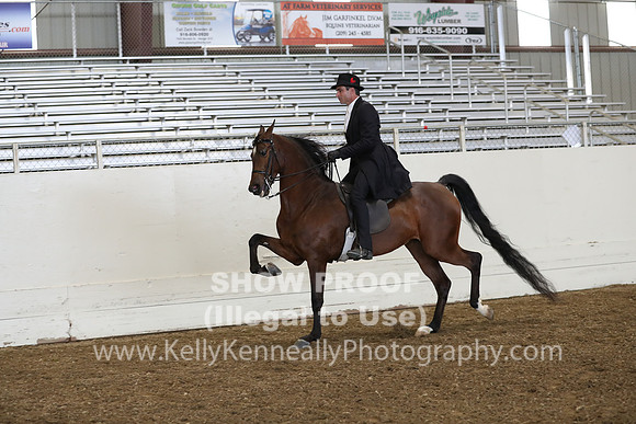 AHANC19_ThursPM_0924