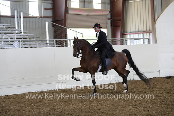 AHANC19_ThursPM_0922