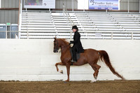 AHANC19_ThursPM_0920