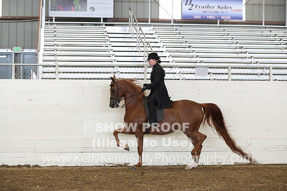 AHANC19_ThursPM_0920
