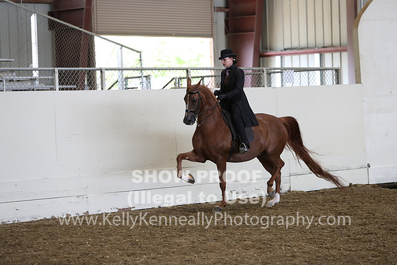 AHANC19_ThursPM_0927