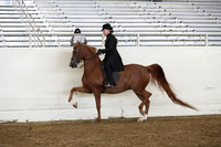 AHANC19_ThursPM_0929
