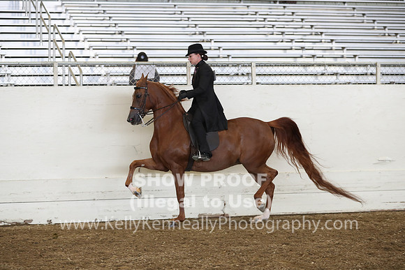 AHANC19_ThursPM_0929