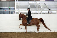 AHANC19_ThursPM_0930