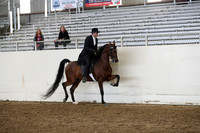 AHANC19_ThursPM_0931
