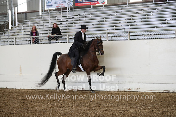 AHANC19_ThursPM_0931