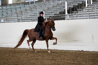 AHANC19_ThursPM_0935