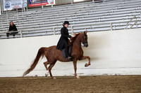 AHANC19_ThursPM_0936