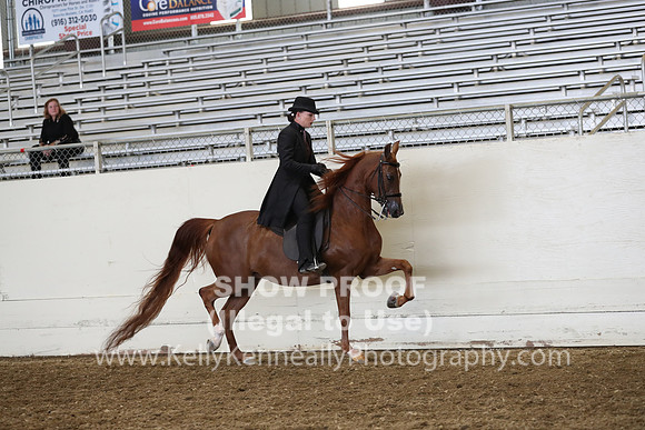 AHANC19_ThursPM_0936
