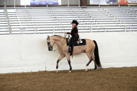 Class 32 HA/AA Western Pleasure ATR Walk/Jog