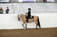 AHANC19_ThursPM_0967