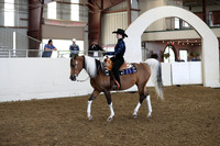 AHANC19_ThursPM_0970