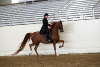 AHANC19_ThursPM_0937