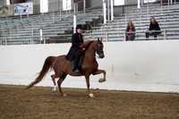 AHANC19_ThursPM_0939