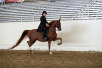 AHANC19_ThursPM_0940