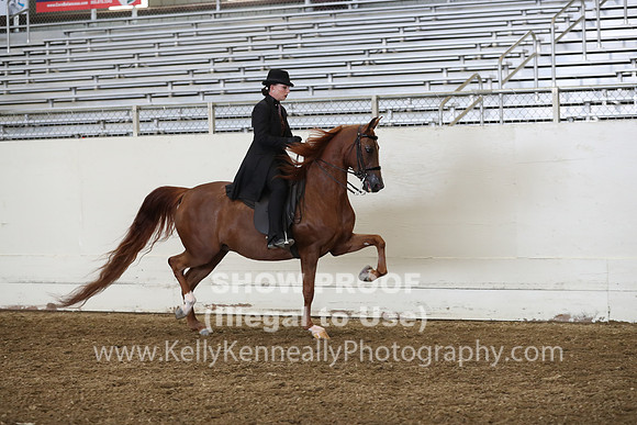 AHANC19_ThursPM_0940