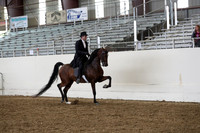 AHANC19_ThursPM_0942