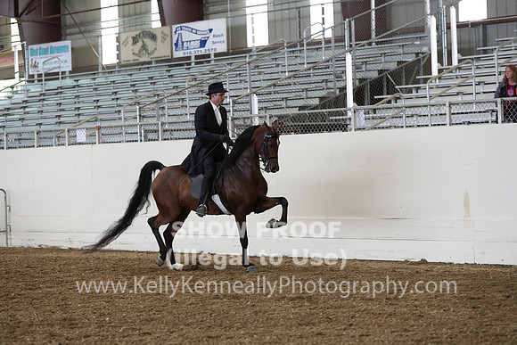 AHANC19_ThursPM_0942