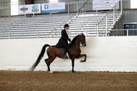 AHANC19_ThursPM_0944