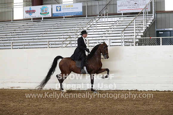 AHANC19_ThursPM_0944