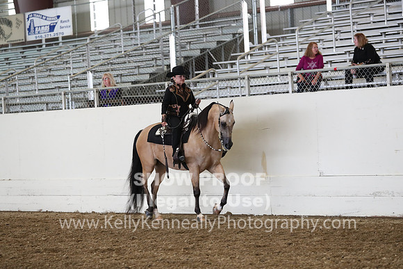 AHANC19_ThursPM_0973
