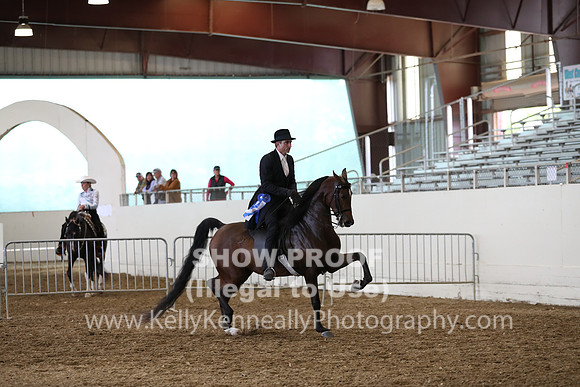 AHANC19_ThursPM_0952