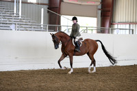 AHANC19_ThursPM_0984