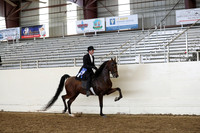 AHANC19_ThursPM_0958