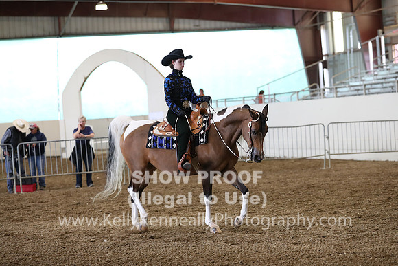 AHANC19_ThursPM_0977