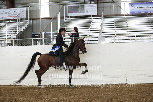 AHANC19_ThursPM_0962