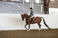 AHANC19_ThursPM_0985