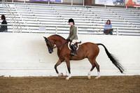AHANC19_ThursPM_0986