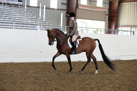 AHANC19_ThursPM_0988
