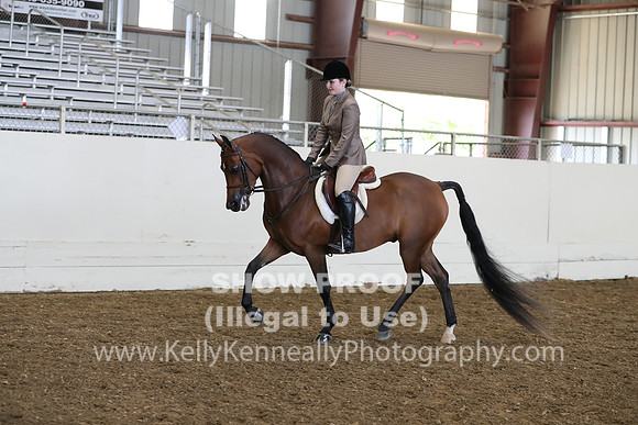 AHANC19_ThursPM_0988
