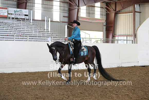 AHANC19_ThursPM_1003