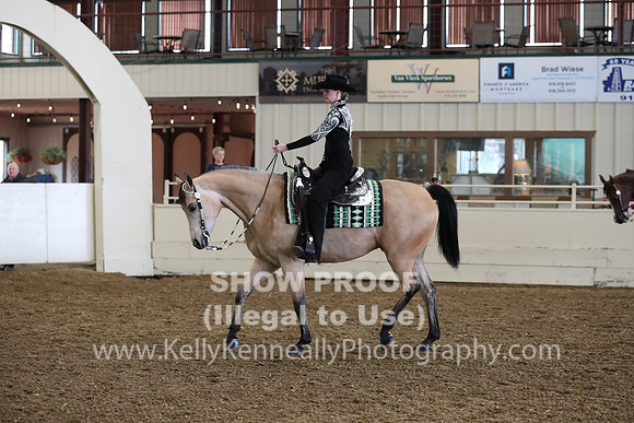 AHANC19_ThursPM_1004