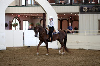 AHANC19_ThursPM_1006
